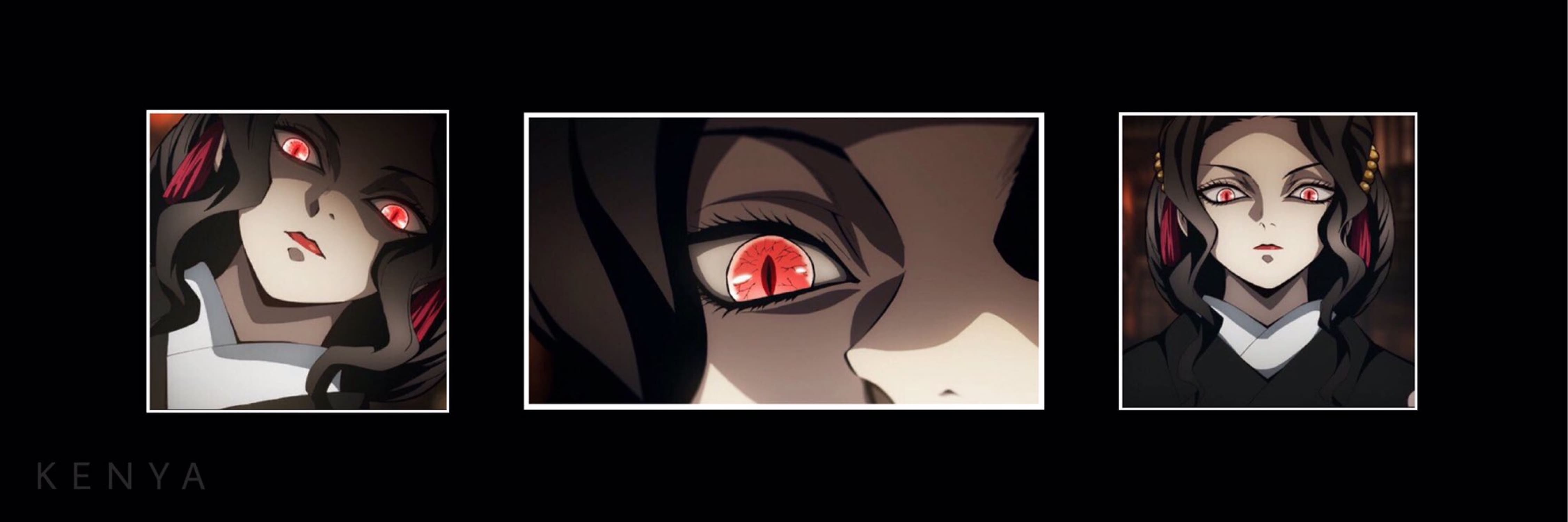 bannière muzan kibutsuji