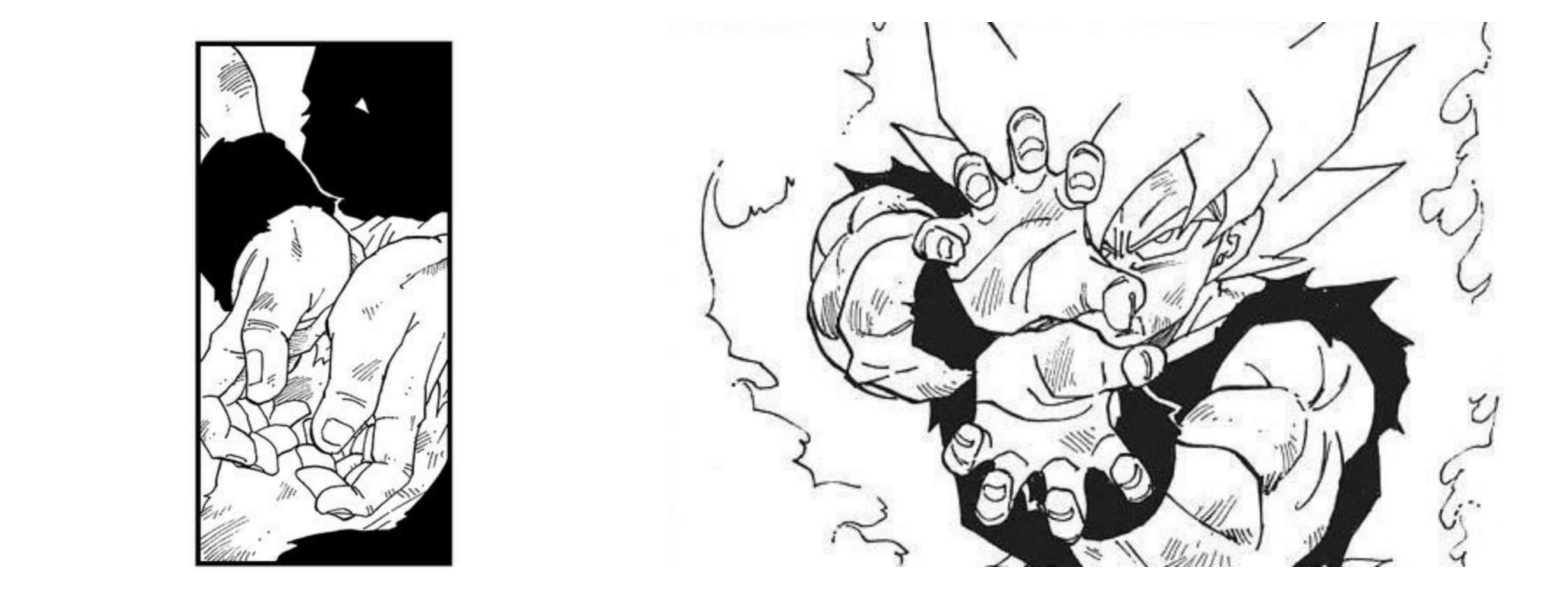 Bannière Goku Kamé Hamé Ha