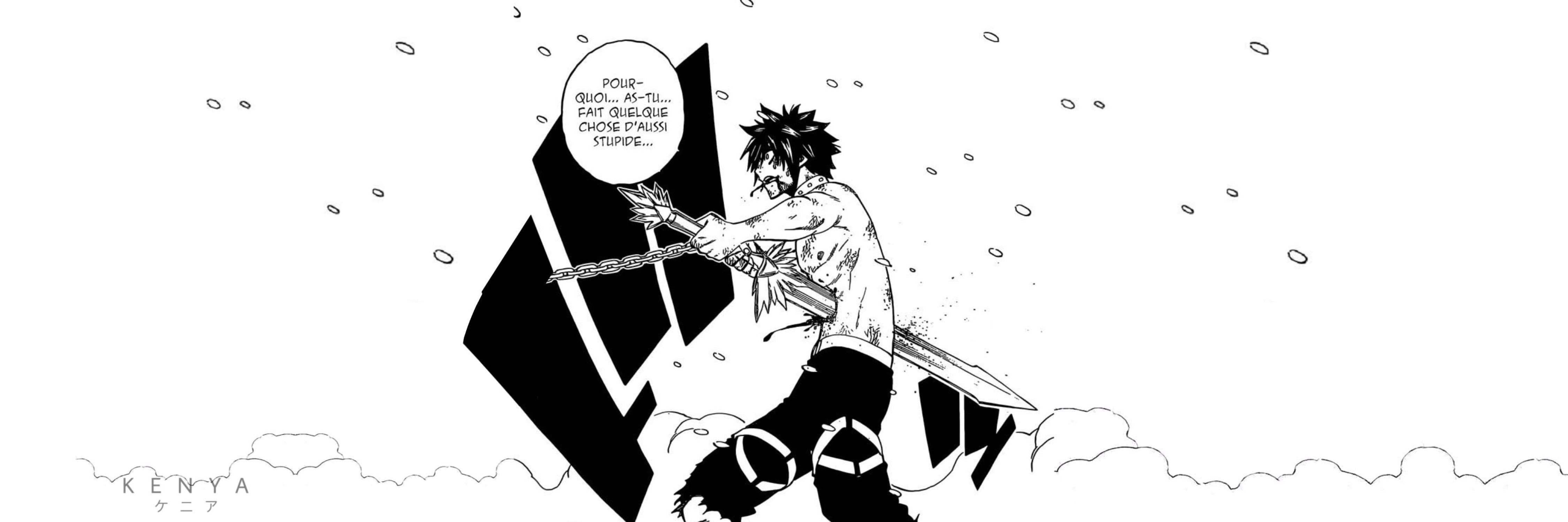 Banière Grey Fullbus