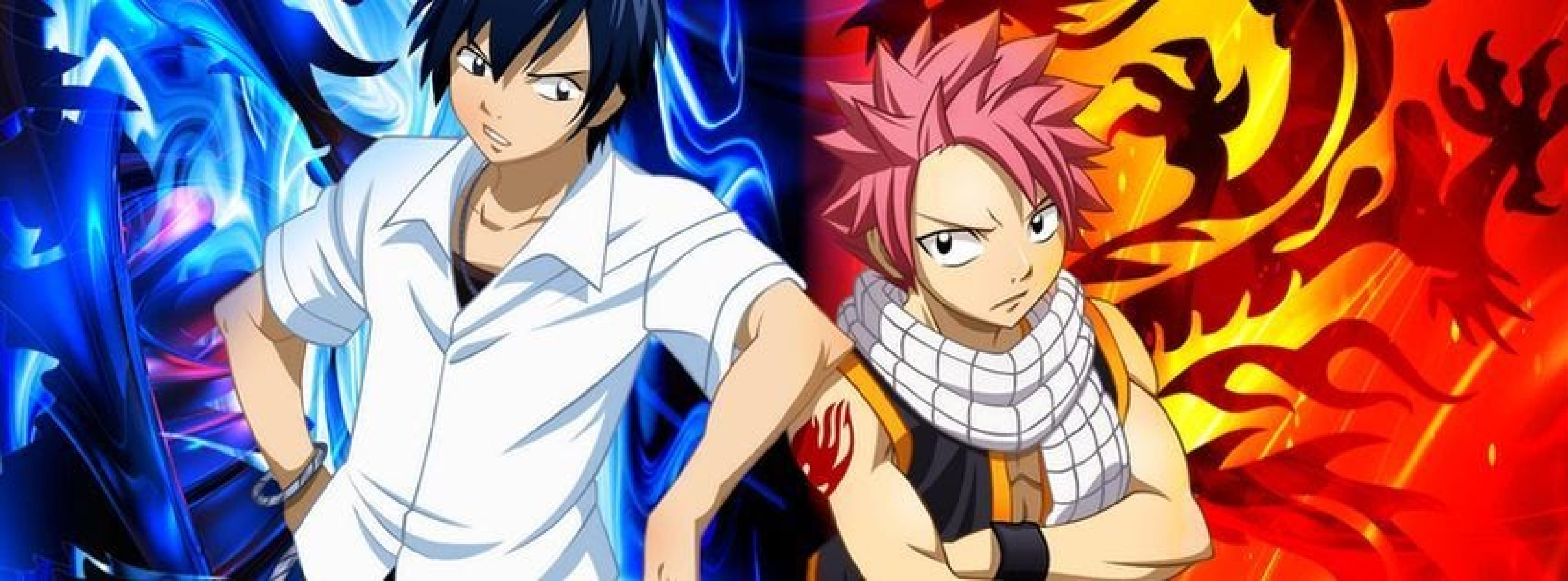Bannière Natsu Grey Fairy Tail