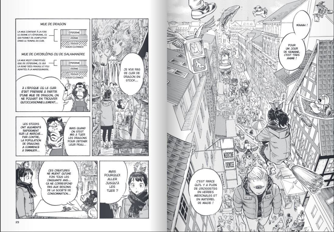 Les Ingrédients Clés de Dress of Illusional Monster : magie, aventure et mode