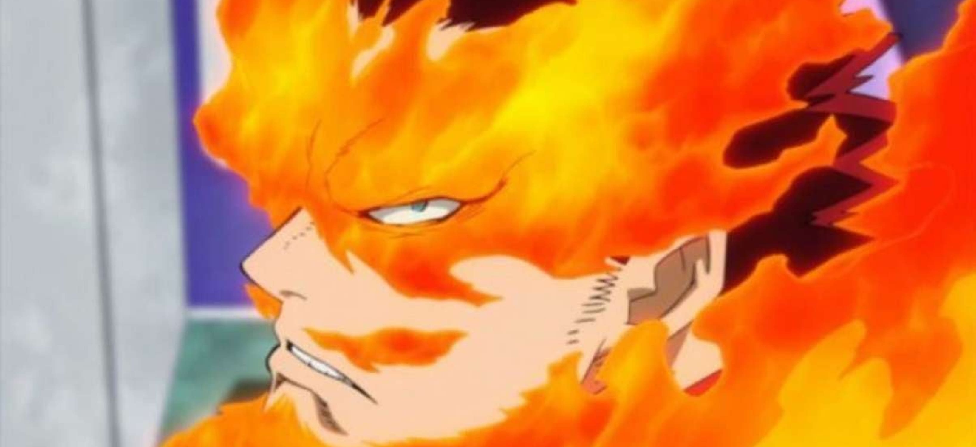 bannière endeavor my hero academia