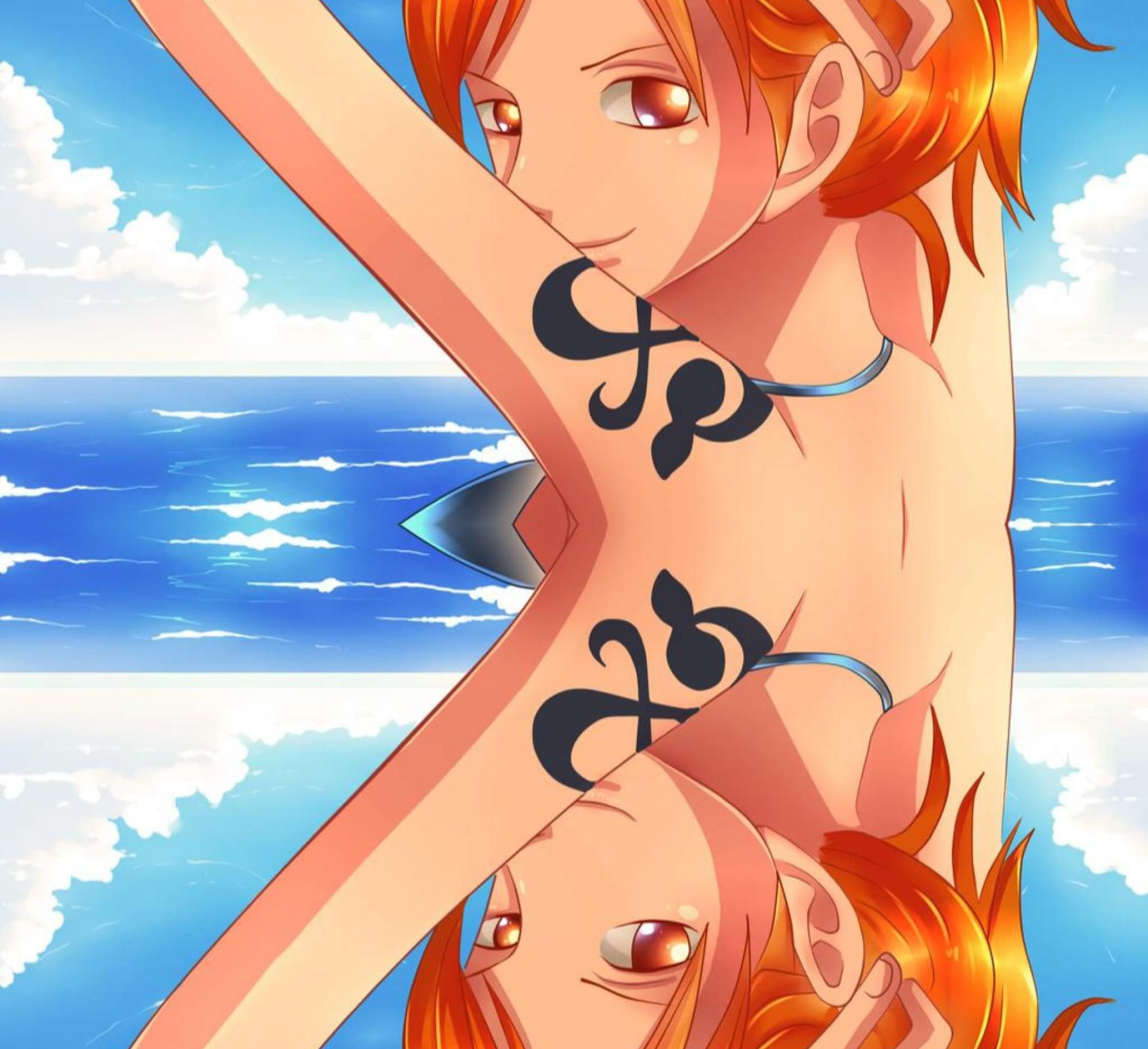 figurines nami background