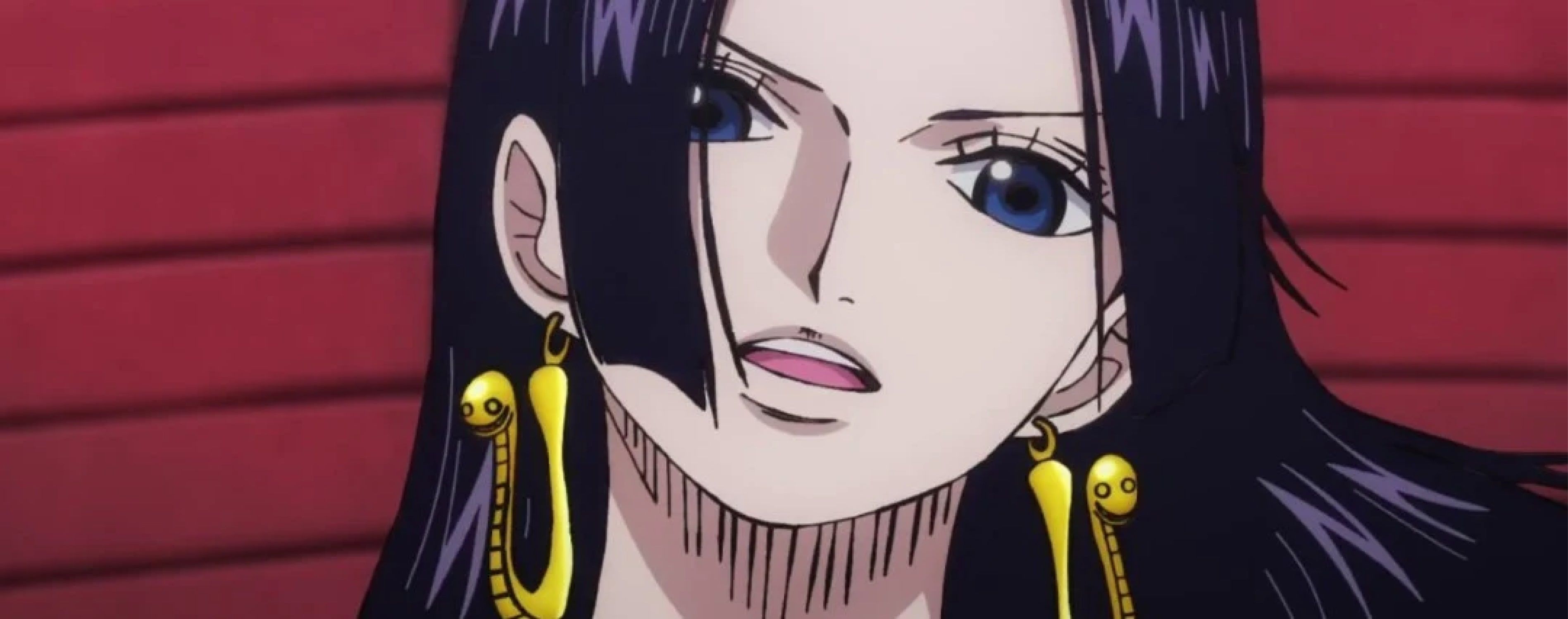 Bannière Boa One Piece