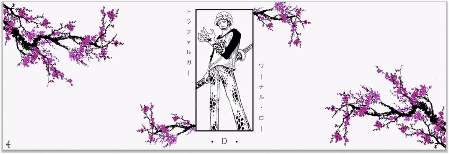 Bannière law one piece