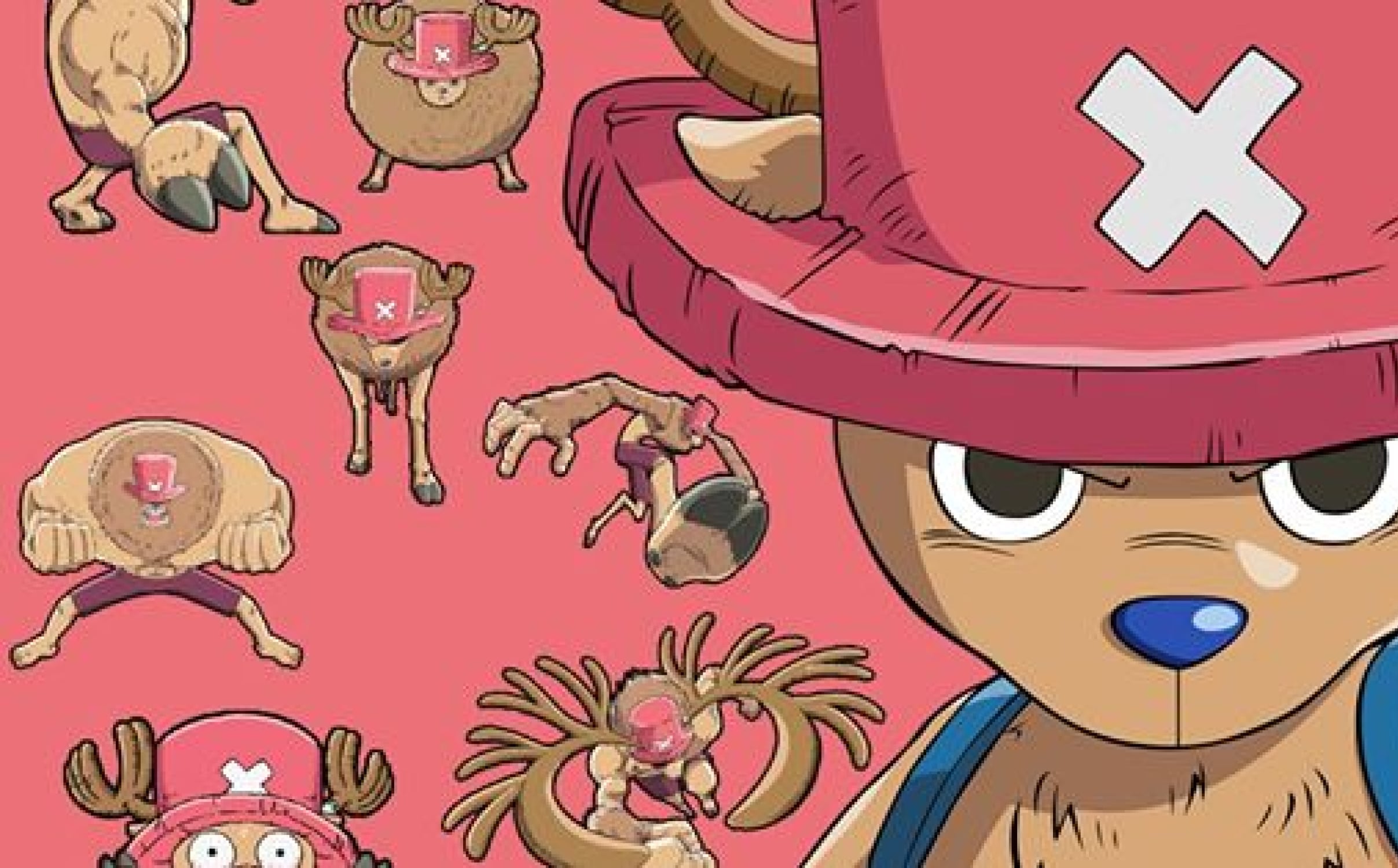 Bannière chopper one piece 