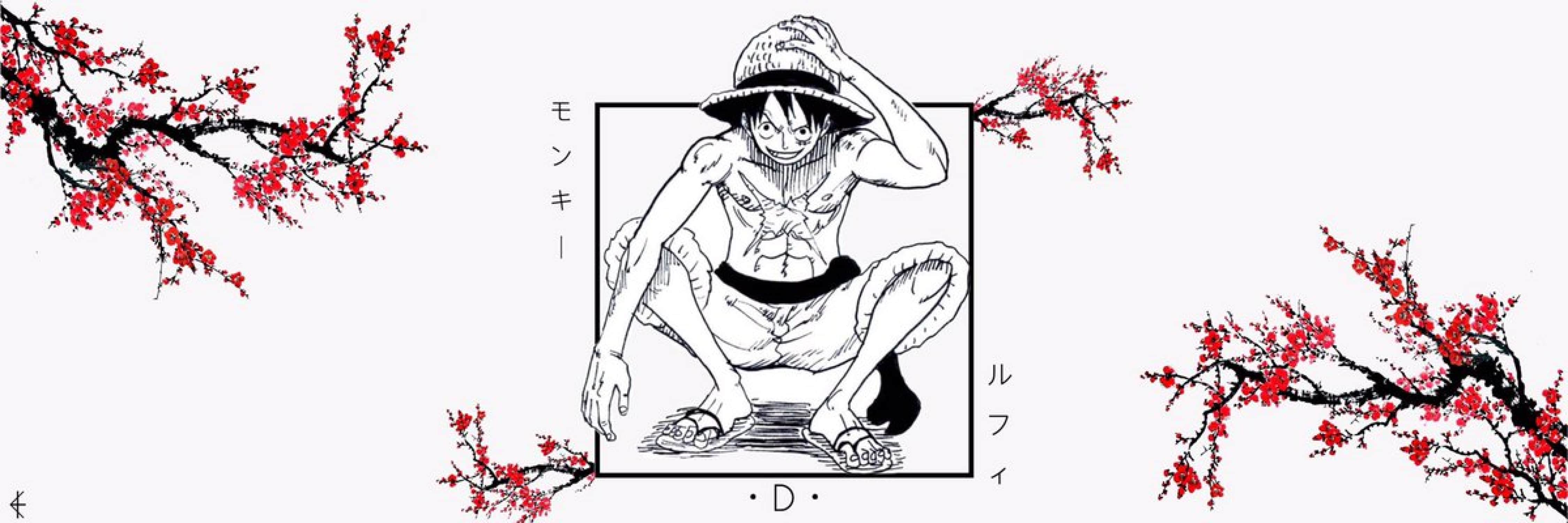 Bannière Monkey D Luffy