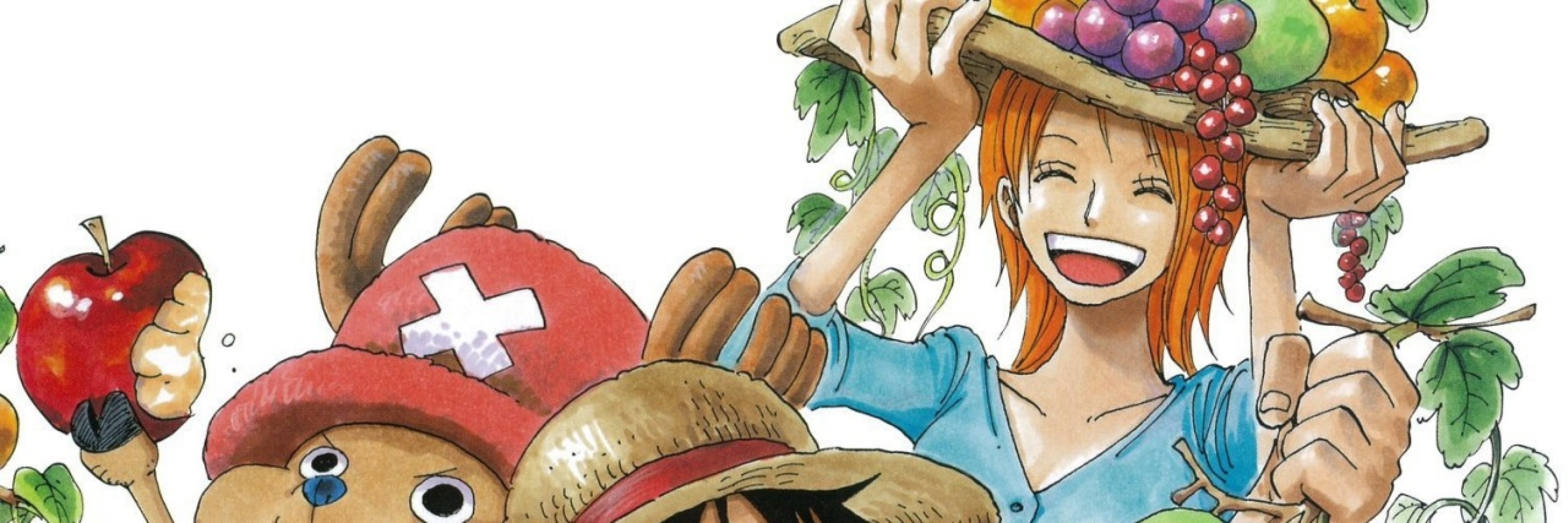 Bannière nami et tony chopper 