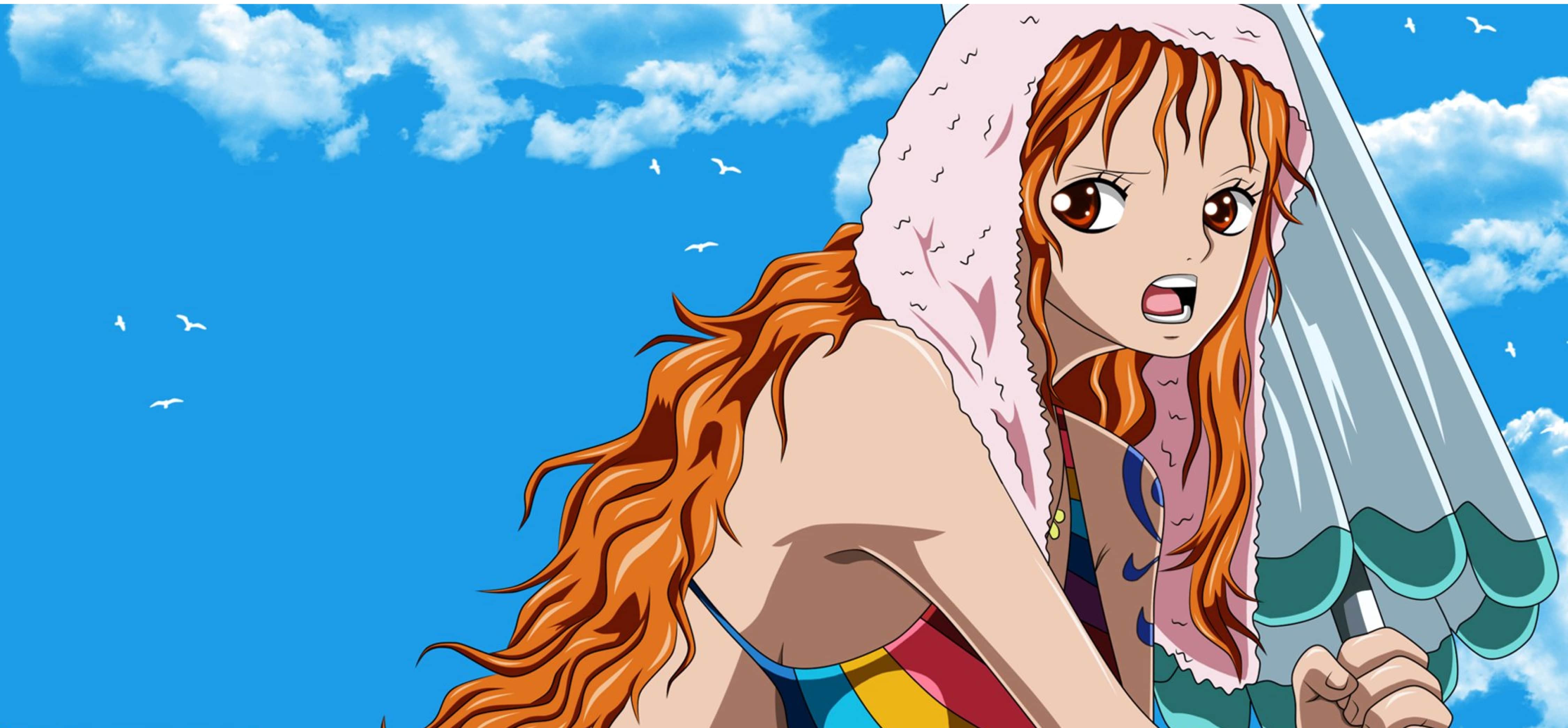 Bannière nami cowboy one piece