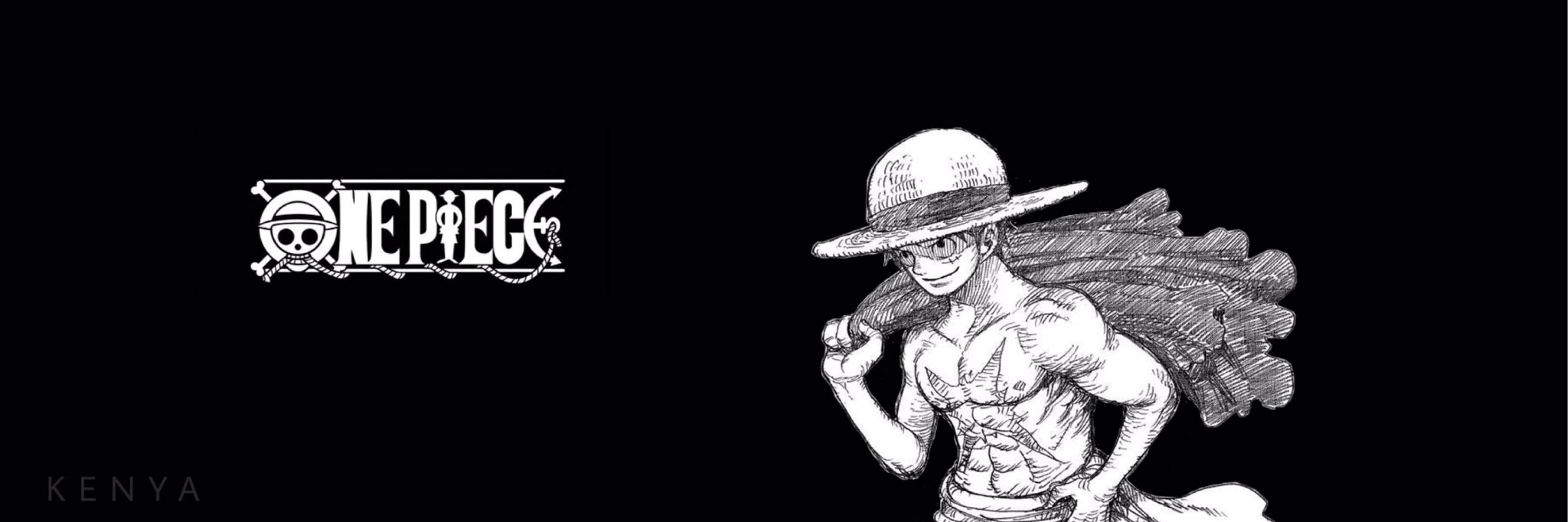 bannière one piece luffy