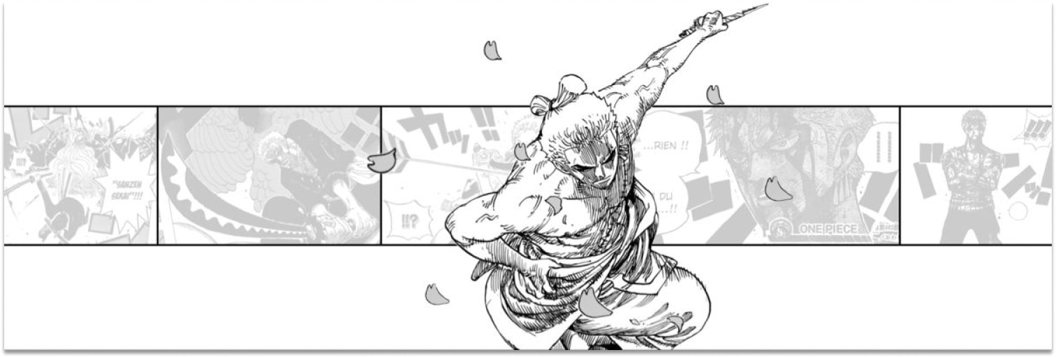 Bannière Zoro One Piece